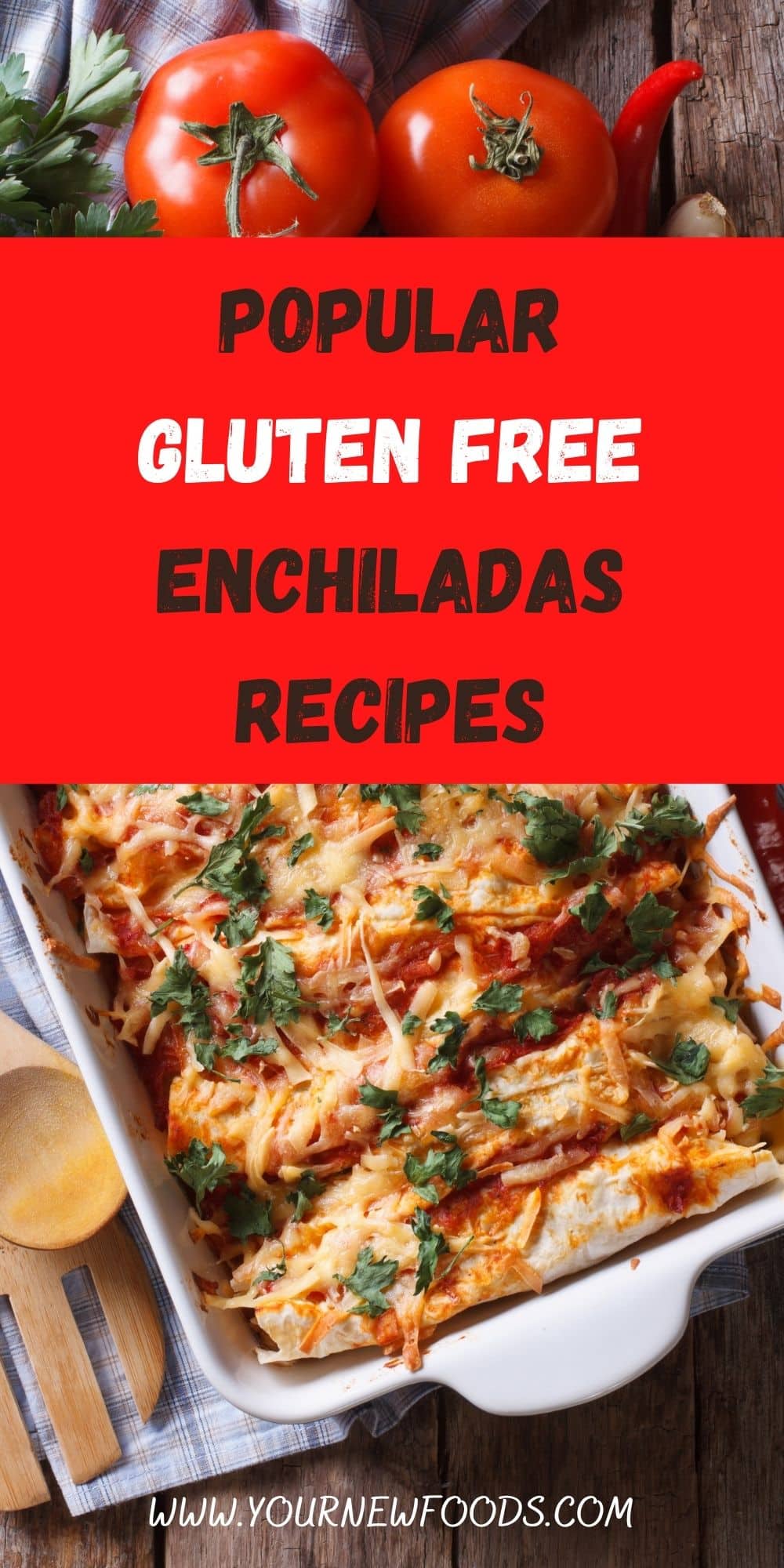 Popular Gluten Free Enchiladas Recipes