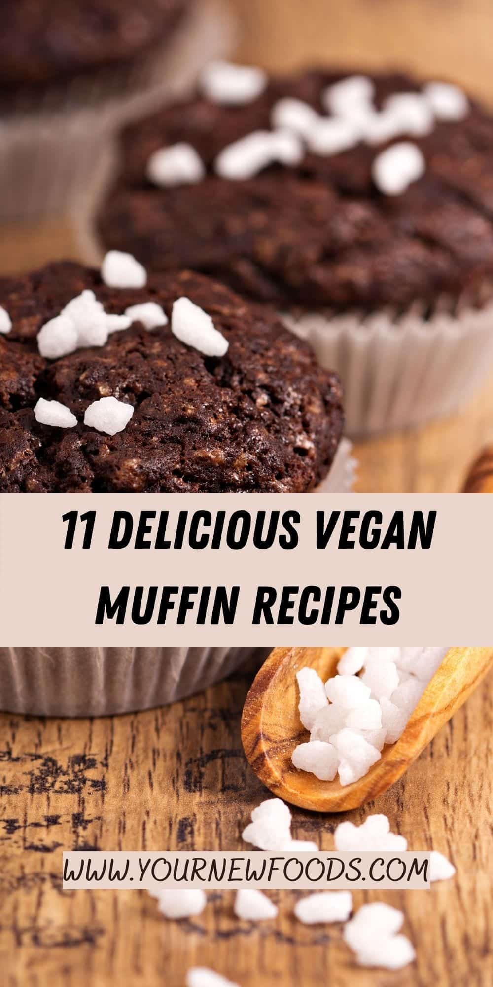 Vegan Muffins Recipes