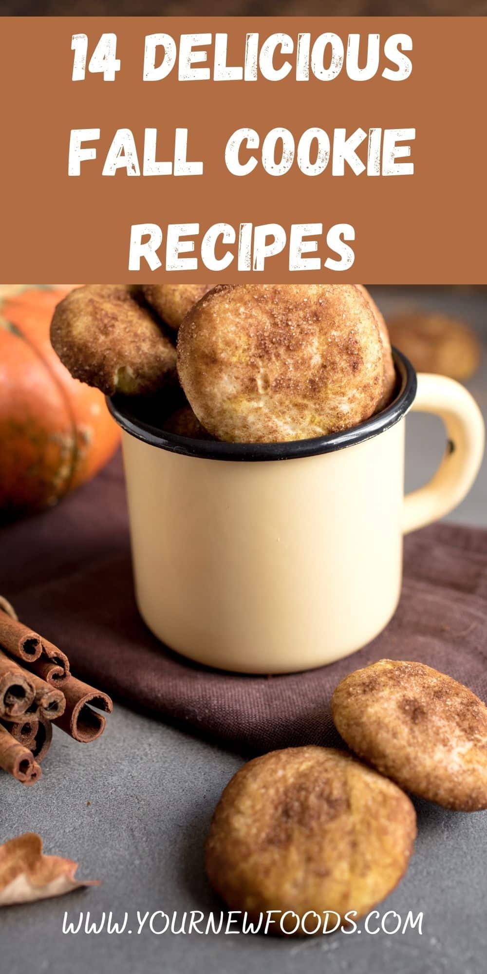 fall Snickerdoodle cookies in a white metal mug with a blue rim