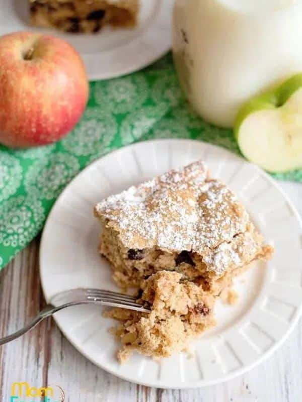 Applesauce Cake - Easy Fall Dessert Recipe