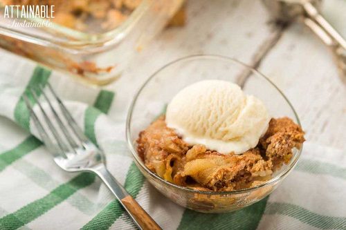 Fall Apple Dessert Grandma’s Apple Cobbler Recipe Fresh from the Farm