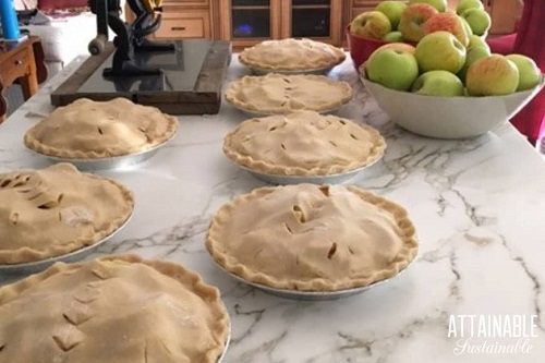 Grandma’s Apple Pie The Perfect Way to Celebrate Harvest Season