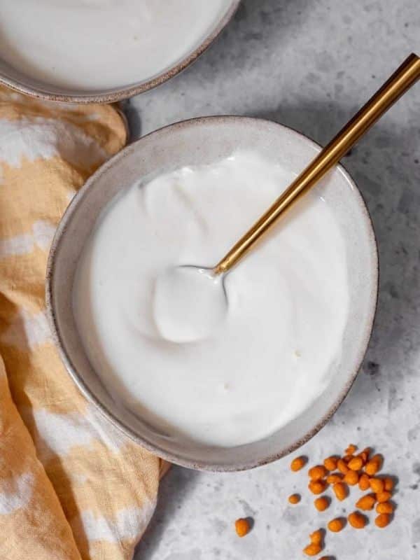 Indian appetizer recipes How to make Dahi - Indian Curd Yogurt