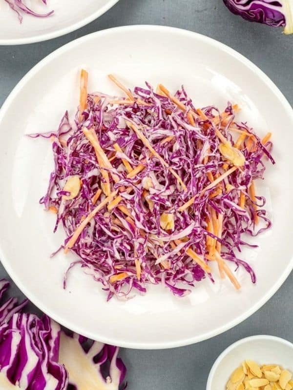 Keto Vegetarian Sides Red Cabbage Salad Recipe