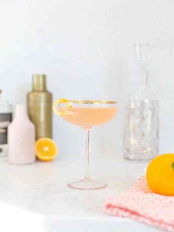 Gin And Prosecco Cocktail