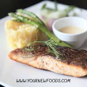salmon with mashed potato and a stem of brocolli