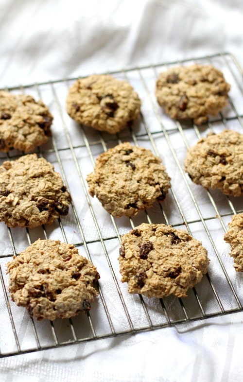 Chewy Gluten-Free Oatmeal Raisin Cookies (Allergy-Free, Vegan)