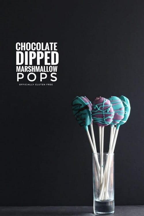 Chocolate Dipped Marshmallow Pops