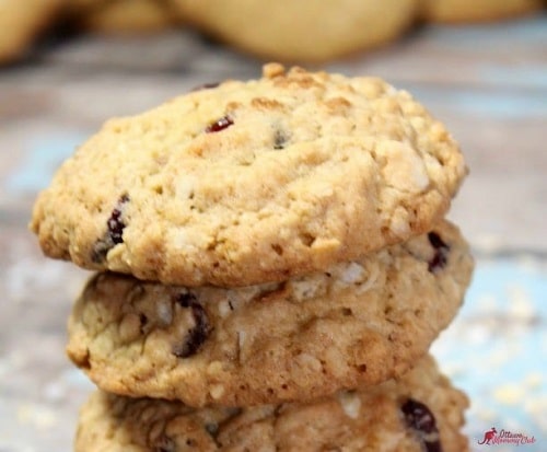 Cranberry Coconut Oatmeal White Chocolate Cookies