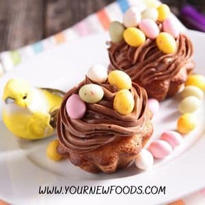 chocolate bird nests with chocloate eggs in for easter