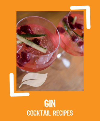 Gin cocktail recipes
