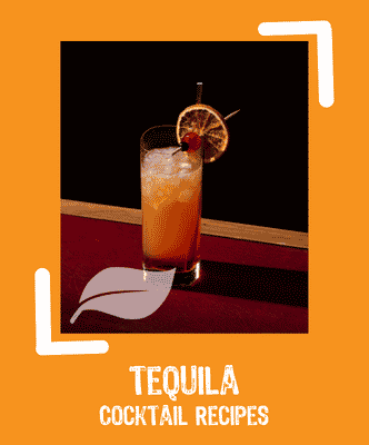 Tequila cocktail recipes