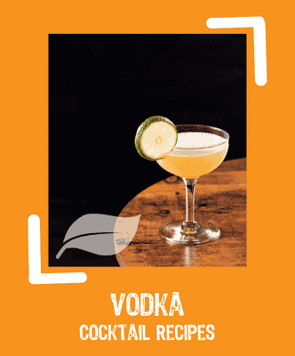 Vodka cocktail recipes