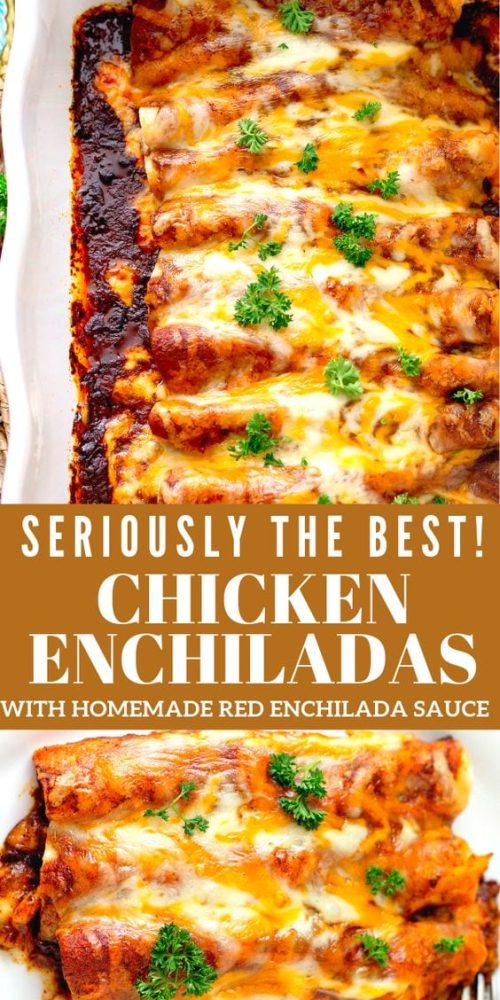 Chicken Enchiladas with Homemade Red Enchilada Sauce